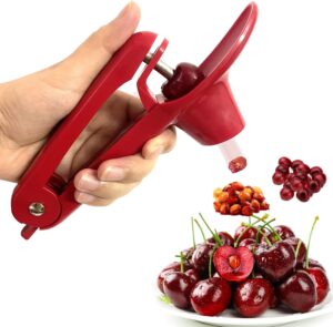 Cherry Pitter Tool