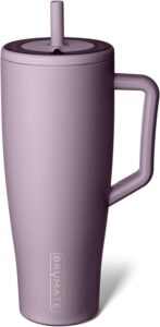 Tumbler with Handle and Straw 